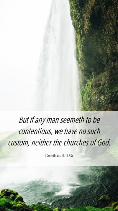 Picture 06 - 1 Corinthians 11:16 ASV Mobile Phone Wallpaper - But if any man seemeth to be contentious, we have - Mobile Bible Verse Wallpaper