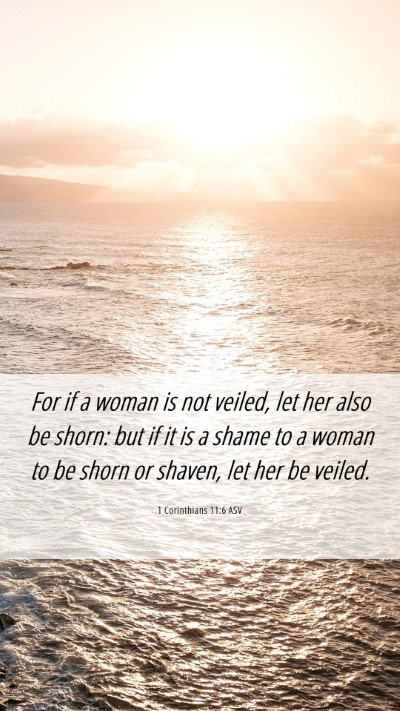 Picture 06 - 1 Corinthians 11:6 ASV Mobile Phone Wallpaper - For if a woman is not veiled, let her also be - Mobile Bible Verse Wallpaper