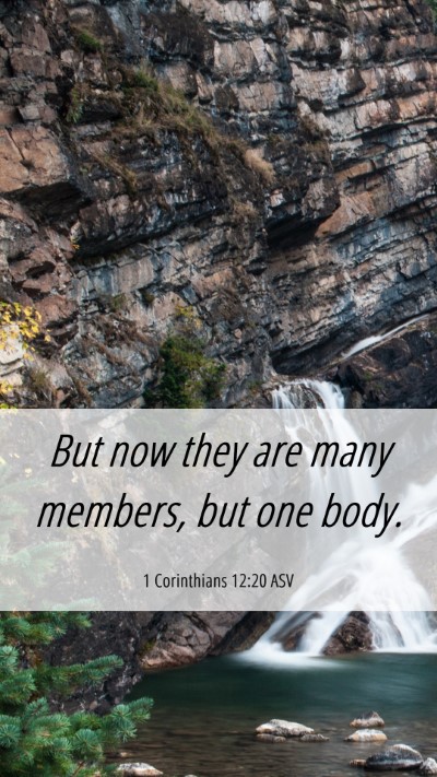 Picture 06 - 1 Corinthians 12:20 ASV Mobile Phone Wallpaper - But now they are many members, but one - Mobile Bible Verse Wallpaper