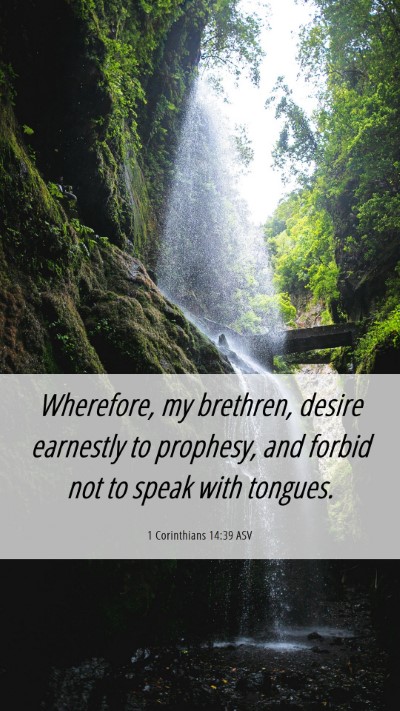 Picture 06 - 1 Corinthians 14:39 ASV Mobile Phone Wallpaper - Wherefore, my brethren, desire earnestly to - Mobile Bible Verse Wallpaper