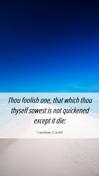 Picture 06 - 1 Corinthians 15:36 ASV Mobile Phone Wallpaper - Thou foolish one, that which thou thyself sowest - Mobile Bible Verse Wallpaper