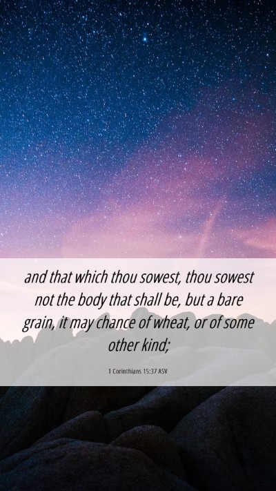 Picture 06 - 1 Corinthians 15:37 ASV Mobile Phone Wallpaper - and that which thou sowest, thou sowest not the - Mobile Bible Verse Wallpaper
