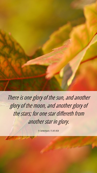 Picture 06 - 1 Corinthians 15:41 ASV Mobile Phone Wallpaper - There is one glory of the sun, and another glory - Mobile Bible Verse Wallpaper