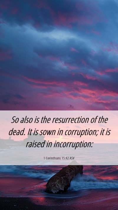 Picture 06 - 1 Corinthians 15:42 ASV Mobile Phone Wallpaper - So also is the resurrection of the dead. It is - Mobile Bible Verse Wallpaper