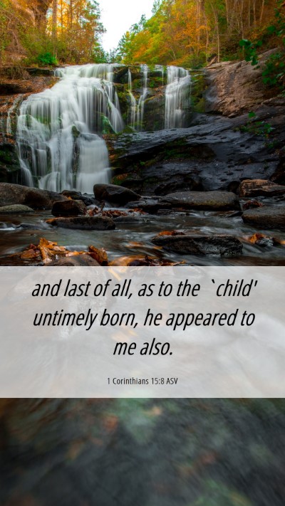 Picture 06 - 1 Corinthians 15:8 ASV Mobile Phone Wallpaper - and last of all, as to the `child' untimely born, - Mobile Bible Verse Wallpaper