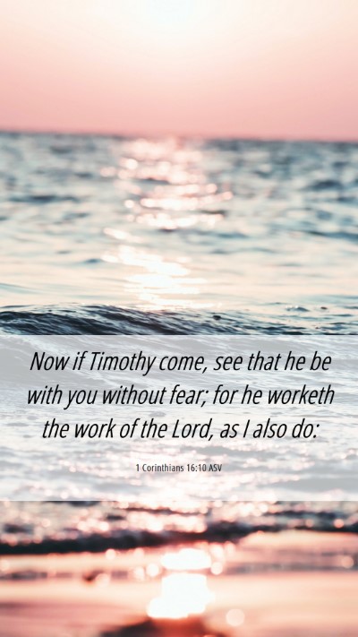 Picture 06 - 1 Corinthians 16:10 ASV Mobile Phone Wallpaper - Now if Timothy come, see that he be with you - Mobile Bible Verse Wallpaper