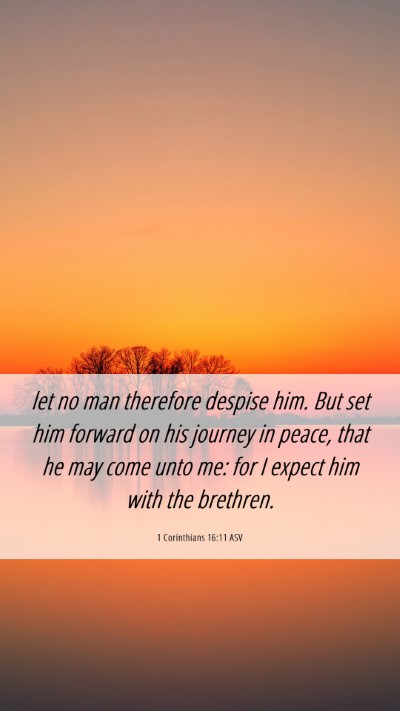 Picture 06 - 1 Corinthians 16:11 ASV Mobile Phone Wallpaper - let no man therefore despise him. But set him - Mobile Bible Verse Wallpaper