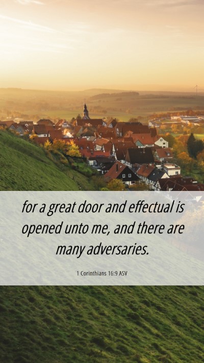 Picture 06 - 1 Corinthians 16:9 ASV Mobile Phone Wallpaper - for a great door and effectual is opened unto me, - Mobile Bible Verse Wallpaper
