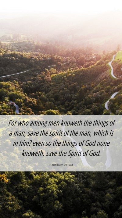 Picture 06 - 1 Corinthians 2:11 ASV Mobile Phone Wallpaper - For who among men knoweth the things of a man, - Mobile Bible Verse Wallpaper