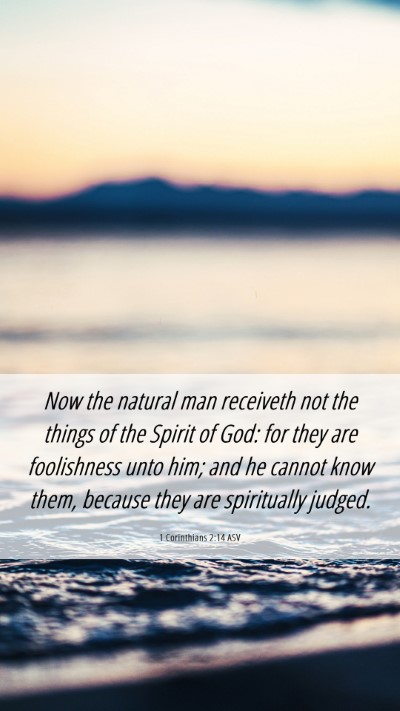 Picture 06 - 1 Corinthians 2:14 ASV Mobile Phone Wallpaper - Now the natural man receiveth not the things of - Mobile Bible Verse Wallpaper