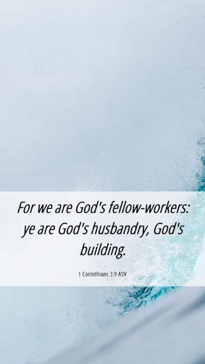 Picture 06 - 1 Corinthians 3:9 ASV Mobile Phone Wallpaper - For we are God's fellow-workers: ye are God's - Mobile Bible Verse Wallpaper