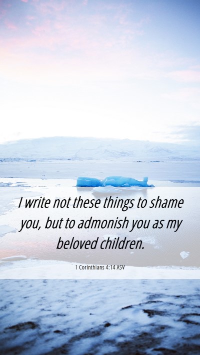 Picture 06 - 1 Corinthians 4:14 ASV Mobile Phone Wallpaper - I write not these things to shame you, but to - Mobile Bible Verse Wallpaper