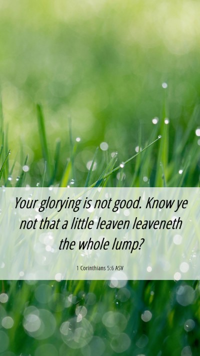 Picture 06 - 1 Corinthians 5:6 ASV Mobile Phone Wallpaper - Your glorying is not good. Know ye not that a - Mobile Bible Verse Wallpaper