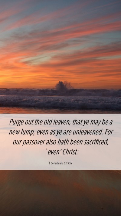 Picture 06 - 1 Corinthians 5:7 ASV Mobile Phone Wallpaper - Purge out the old leaven, that ye may be a new - Mobile Bible Verse Wallpaper