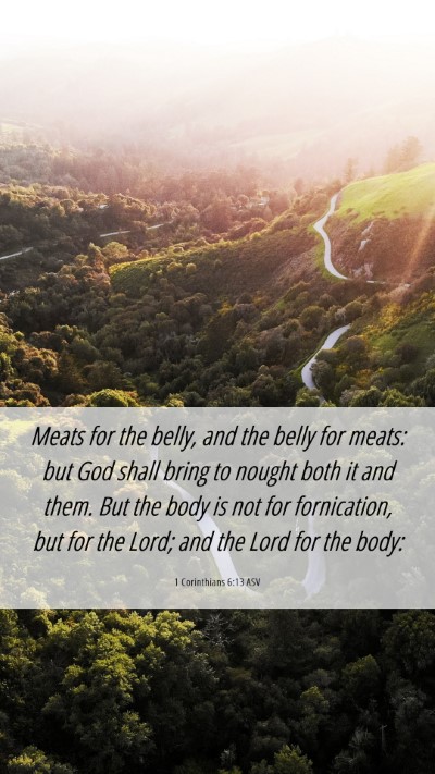 Picture 06 - 1 Corinthians 6:13 ASV Mobile Phone Wallpaper - Meats for the belly, and the belly for meats: but - Mobile Bible Verse Wallpaper