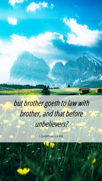Picture 06 - 1 Corinthians 6:6 ASV Mobile Phone Wallpaper - but brother goeth to law with brother, and that - Mobile Bible Verse Wallpaper