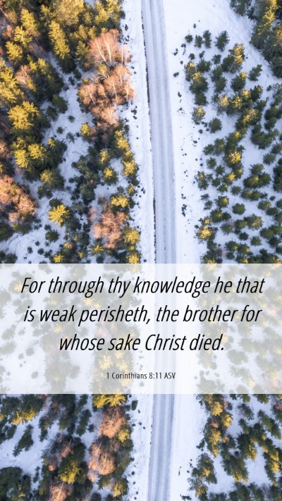 Picture 06 - 1 Corinthians 8:11 ASV Mobile Phone Wallpaper - For through thy knowledge he that is weak - Mobile Bible Verse Wallpaper