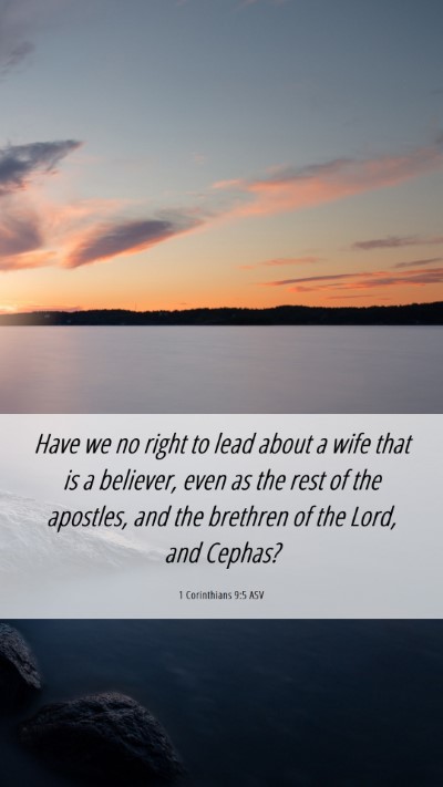 Picture 06 - 1 Corinthians 9:5 ASV Mobile Phone Wallpaper - Have we no right to lead about a wife that is a - Mobile Bible Verse Wallpaper