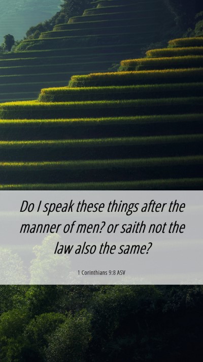 Picture 06 - 1 Corinthians 9:8 ASV Mobile Phone Wallpaper - Do I speak these things after the manner of men? - Mobile Bible Verse Wallpaper