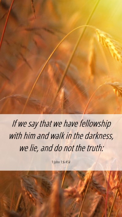 Picture 06 - 1 John 1:6 ASV Mobile Phone Wallpaper - If we say that we have fellowship with him and - Mobile Bible Verse Wallpaper