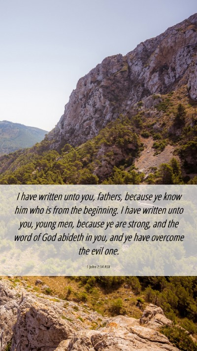 Picture 06 - 1 John 2:14 ASV Mobile Phone Wallpaper - I have written unto you, fathers, because ye know - Mobile Bible Verse Wallpaper