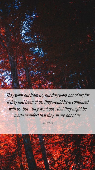 Picture 06 - 1 John 2:19 ASV Mobile Phone Wallpaper - They went out from us, but they were not of us; - Mobile Bible Verse Wallpaper