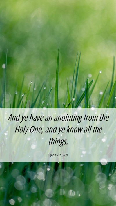 Picture 06 - 1 John 2:20 ASV Mobile Phone Wallpaper - And ye have an anointing from the Holy One, and - Mobile Bible Verse Wallpaper