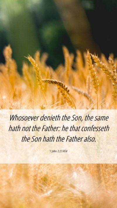 Picture 06 - 1 John 2:23 ASV Mobile Phone Wallpaper - Whosoever denieth the Son, the same hath not the - Mobile Bible Verse Wallpaper