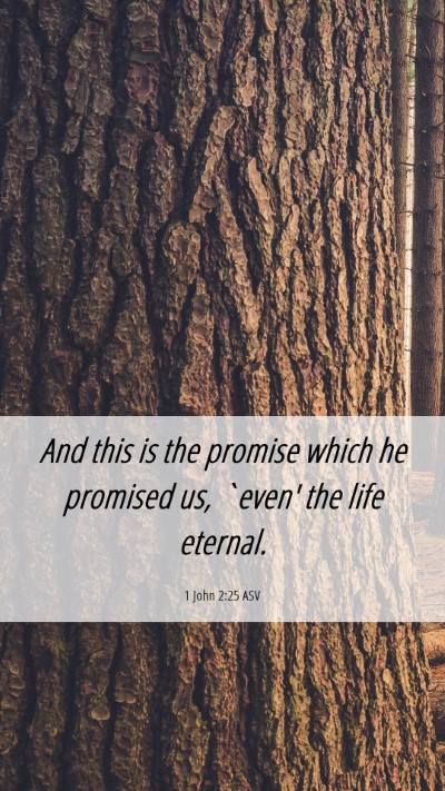 Picture 06 - 1 John 2:25 ASV Mobile Phone Wallpaper - And this is the promise which he promised us, - Mobile Bible Verse Wallpaper