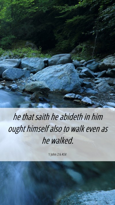 Picture 06 - 1 John 2:6 ASV Mobile Phone Wallpaper - he that saith he abideth in him ought himself - Mobile Bible Verse Wallpaper