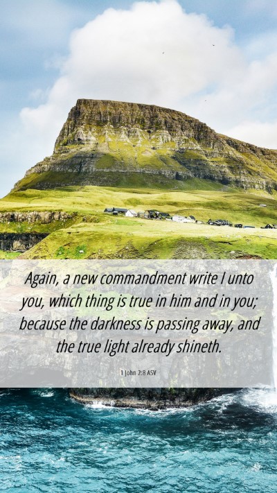 Picture 06 - 1 John 2:8 ASV Mobile Phone Wallpaper - Again, a new commandment write I unto you, which - Mobile Bible Verse Wallpaper