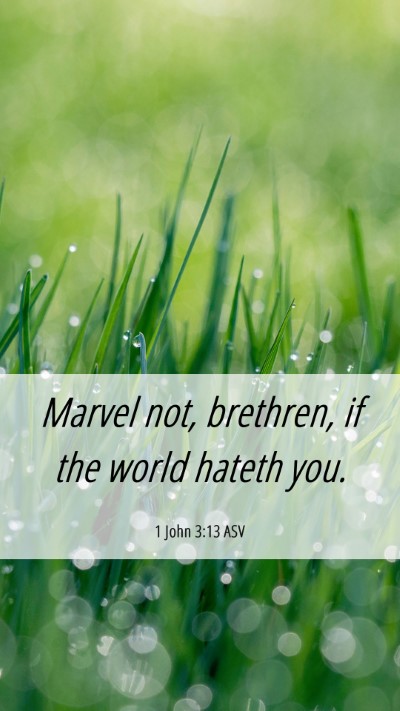 Picture 06 - 1 John 3:13 ASV Mobile Phone Wallpaper - Marvel not, brethren, if the world hateth - Mobile Bible Verse Wallpaper