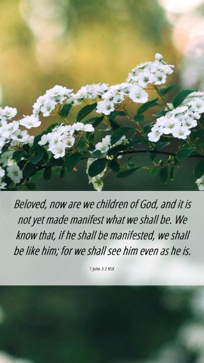 Picture 06 - 1 John 3:2 ASV Mobile Phone Wallpaper - Beloved, now are we children of God, and it is - Mobile Bible Verse Wallpaper