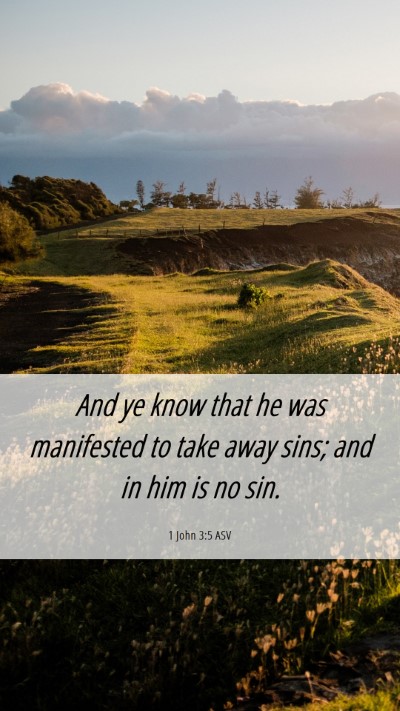 Picture 06 - 1 John 3:5 ASV Mobile Phone Wallpaper - And ye know that he was manifested to take away - Mobile Bible Verse Wallpaper