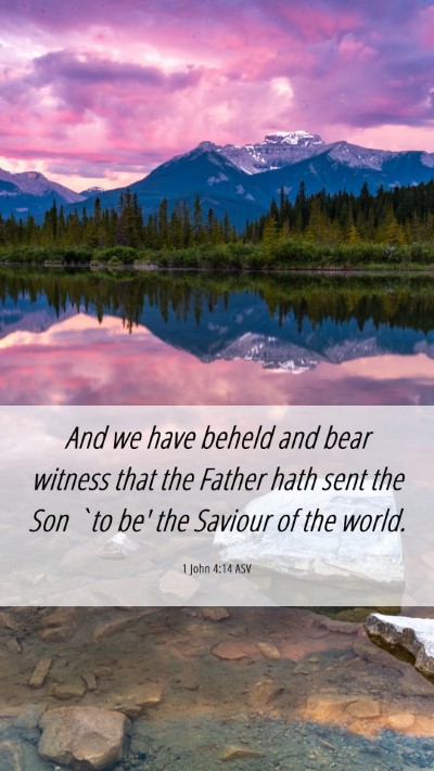 Picture 06 - 1 John 4:14 ASV Mobile Phone Wallpaper - And we have beheld and bear witness that the - Mobile Bible Verse Wallpaper