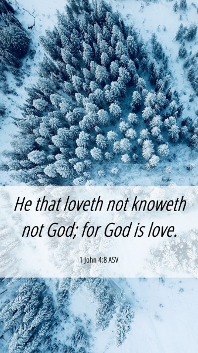 Picture 06 - 1 John 4:8 ASV Mobile Phone Wallpaper - He that loveth not knoweth not God; for God is - Mobile Bible Verse Wallpaper