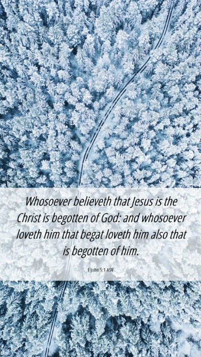 Picture 06 - 1 John 5:1 ASV Mobile Phone Wallpaper - Whosoever believeth that Jesus is the Christ is - Mobile Bible Verse Wallpaper