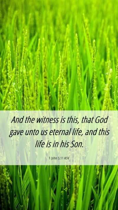 Picture 06 - 1 John 5:11 ASV Mobile Phone Wallpaper - And the witness is this, that God gave unto us - Mobile Bible Verse Wallpaper