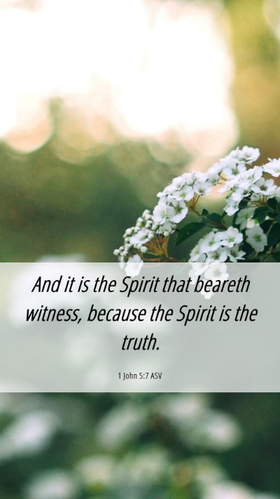 Picture 06 - 1 John 5:7 ASV Mobile Phone Wallpaper - And it is the Spirit that beareth witness, - Mobile Bible Verse Wallpaper