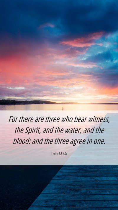 Picture 06 - 1 John 5:8 ASV Mobile Phone Wallpaper - For there are three who bear witness, the Spirit, - Mobile Bible Verse Wallpaper