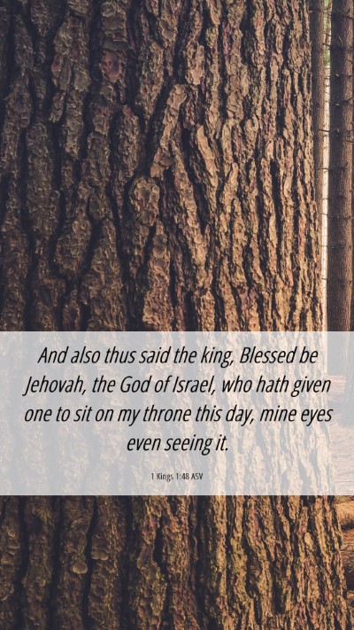Picture 06 - 1 Kings 1:48 ASV Mobile Phone Wallpaper - And also thus said the king, Blessed be Jehovah, - Mobile Bible Verse Wallpaper