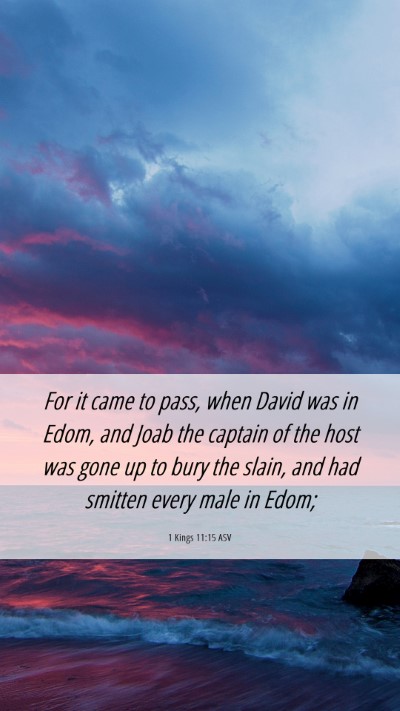 Picture 06 - 1 Kings 11:15 ASV Mobile Phone Wallpaper - For it came to pass, when David was in Edom, and - Mobile Bible Verse Wallpaper