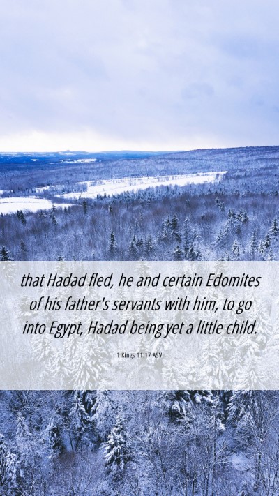 Picture 06 - 1 Kings 11:17 ASV Mobile Phone Wallpaper - that Hadad fled, he and certain Edomites of his - Mobile Bible Verse Wallpaper