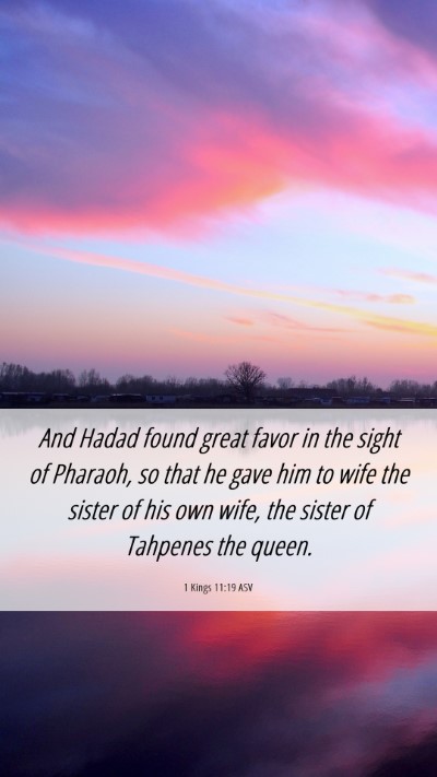 Picture 06 - 1 Kings 11:19 ASV Mobile Phone Wallpaper - And Hadad found great favor in the sight of - Mobile Bible Verse Wallpaper