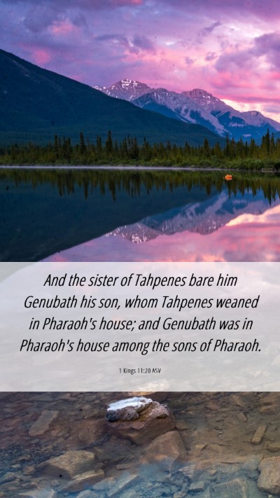 Picture 06 - 1 Kings 11:20 ASV Mobile Phone Wallpaper - And the sister of Tahpenes bare him Genubath his - Mobile Bible Verse Wallpaper