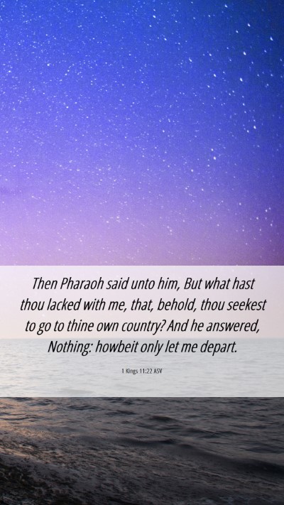 Picture 06 - 1 Kings 11:22 ASV Mobile Phone Wallpaper - Then Pharaoh said unto him, But what hast thou - Mobile Bible Verse Wallpaper