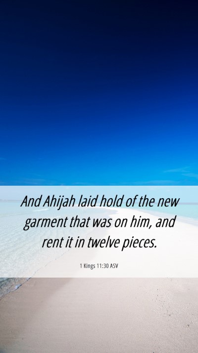 Picture 06 - 1 Kings 11:30 ASV Mobile Phone Wallpaper - And Ahijah laid hold of the new garment that was - Mobile Bible Verse Wallpaper