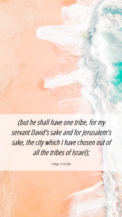 Picture 06 - 1 Kings 11:32 ASV Mobile Phone Wallpaper - (but he shall have one tribe, for my servant - Mobile Bible Verse Wallpaper