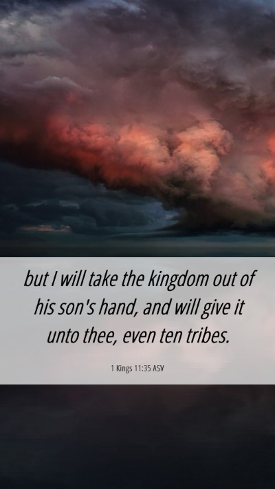 Picture 06 - 1 Kings 11:35 ASV Mobile Phone Wallpaper - but I will take the kingdom out of his son's - Mobile Bible Verse Wallpaper