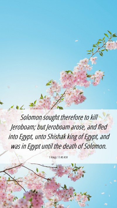 Picture 06 - 1 Kings 11:40 ASV Mobile Phone Wallpaper - Solomon sought therefore to kill Jeroboam; but - Mobile Bible Verse Wallpaper